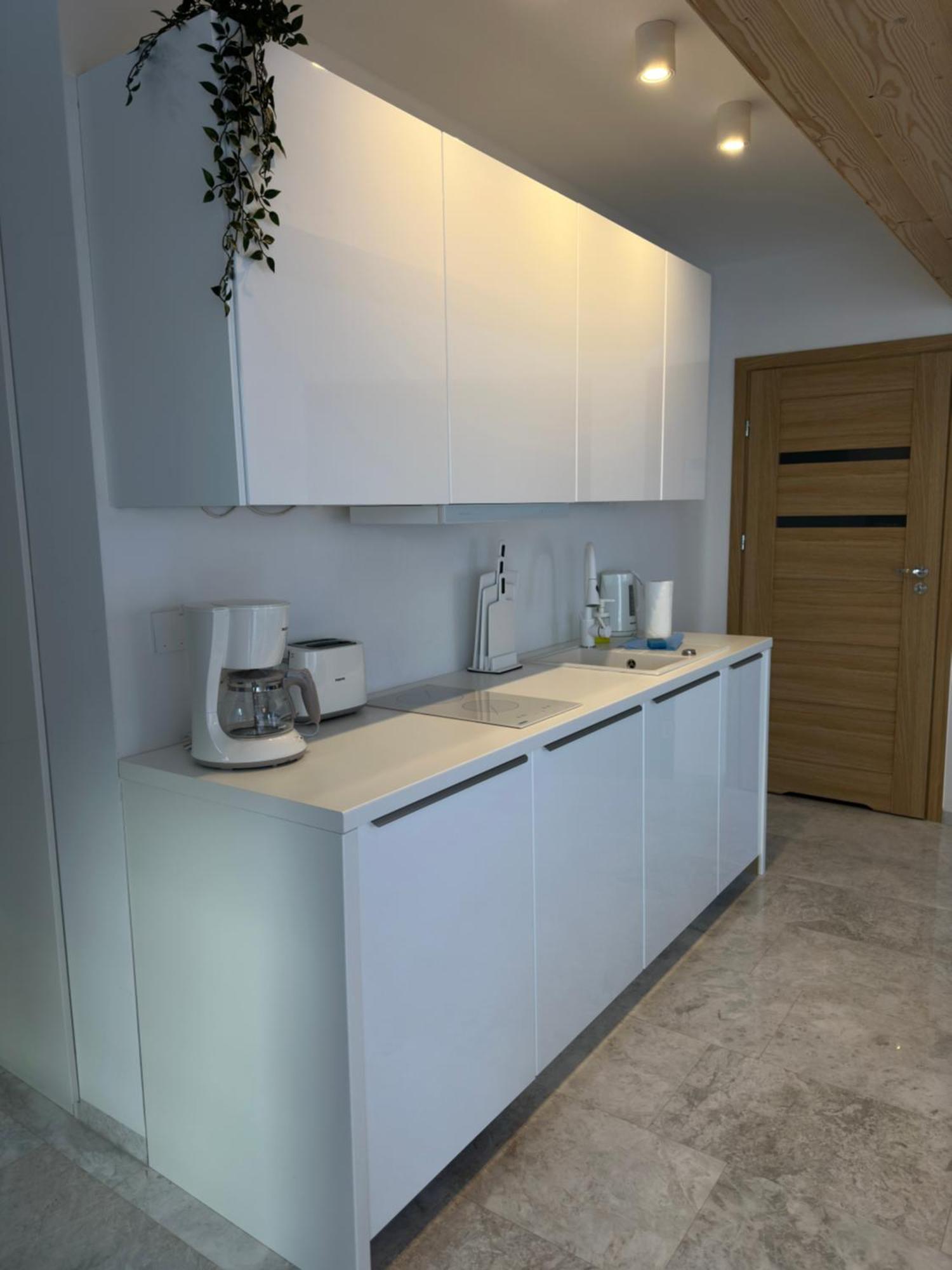 Apartamenty Willa Nika زاكوباني المظهر الخارجي الصورة